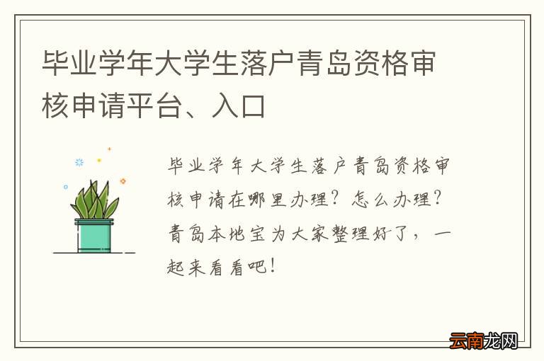 毕业学年大学生落户青岛资格审核申请平台、入口