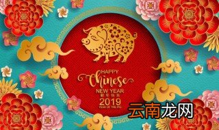 今年农历年是叫什么年 是什么生肖