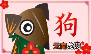 70属狗的在2020年运势 属狗人2020年幸运色和幸运数字