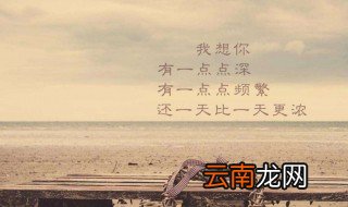 深爱一个人的经典句子 这几句分享给大家