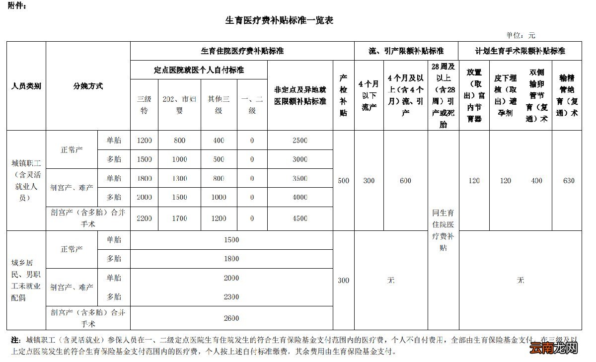 沈阳生育保险报销指南