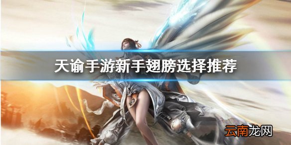 天谕手游新手翅膀怎么选 天谕手游新手翅膀选择推荐