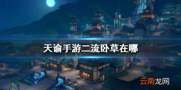 天谕手游二流卧草在哪 你看不见我任务攻略