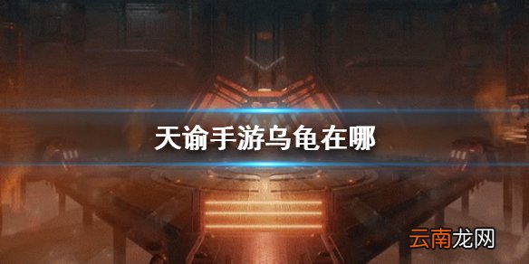 天谕手游乌龟在哪 寻龟之旅任务攻略
