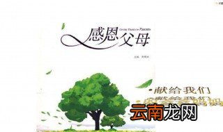 感恩的精典语句 这几句分享给大家