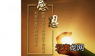 一句简短的话感谢朋友 这几句分享给大家