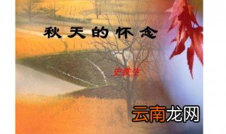 秋天思念一个人的句子 值得一辈子收藏