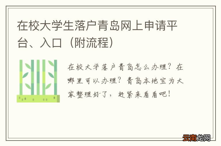 附流程 在校大学生落户青岛网上申请平台、入口