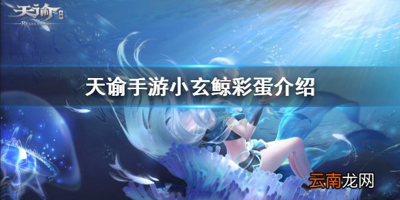 天谕手游小玄鲸彩蛋在哪 天谕手游小玄鲸彩蛋位置一览