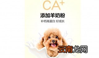 狗吃什么钙片 狗如何补充钙质