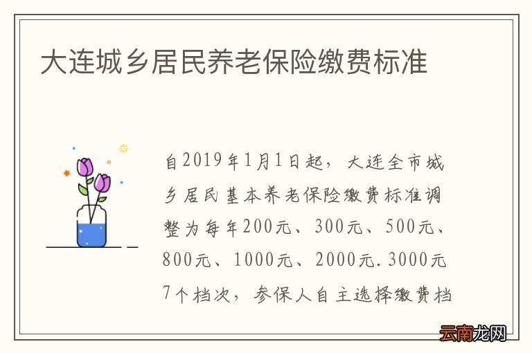 大连城乡居民养老保险缴费标准