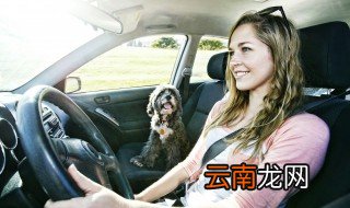 新车牌号不如意怎么更换 一起来看看吧