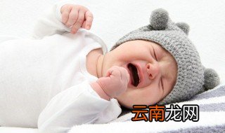 唐宝什么意思 给大家介绍一下