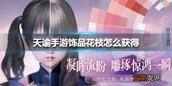 天谕手游饰品花枝怎么获得 天谕手游饰品花枝获得方法
