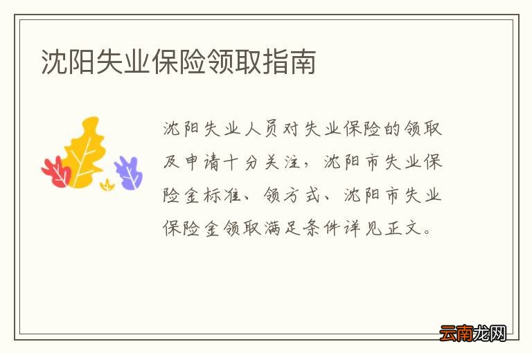 沈阳失业保险领取指南