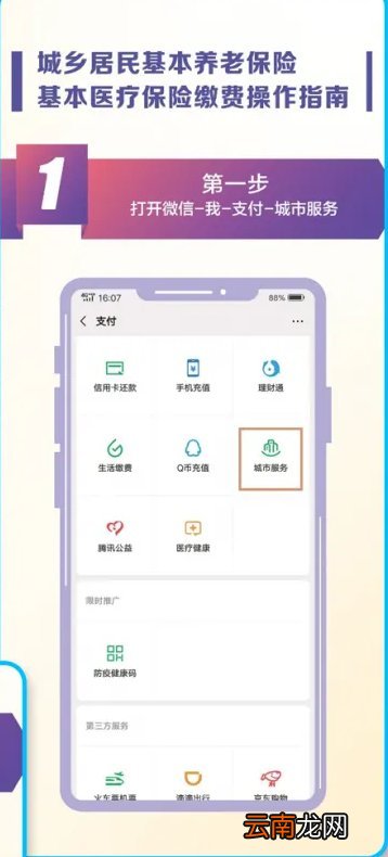 大连城乡居民养老保险缴费指南