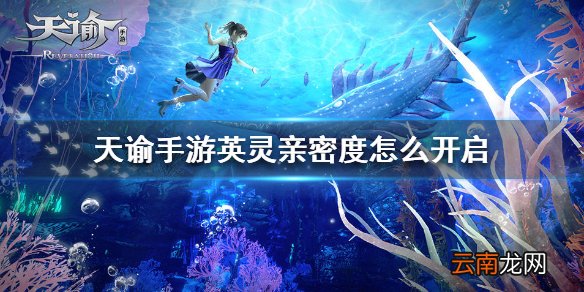 天谕手游英灵亲密度怎么开启 天谕手游英灵亲密度开启方法