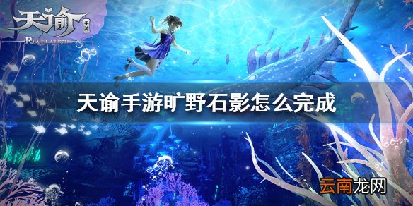 天谕手游旷野石影怎么完成 天谕手游旷野石影任务完成方法