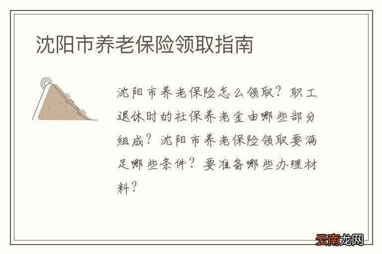 沈阳市养老保险领取指南