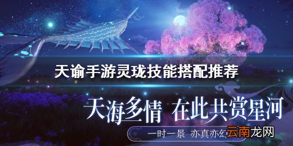 天谕手游灵珑技能搭配推荐 天谕手游灵珑技能怎么搭配