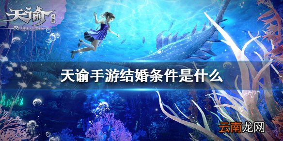 天谕手游结婚条件是什么 天谕手游结婚条件介绍