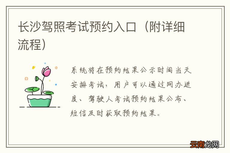 附详细流程 长沙驾照考试预约入口