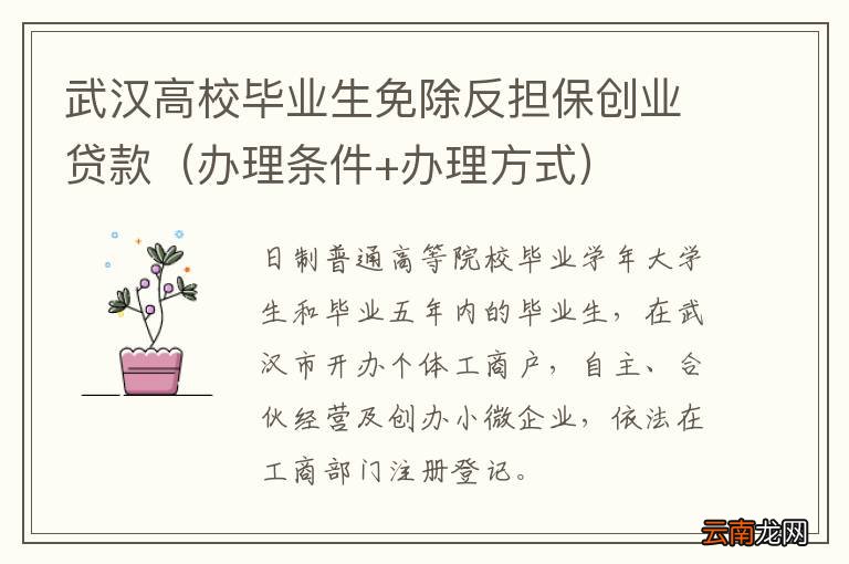 办理条件+办理方式 武汉高校毕业生免除反担保创业贷款