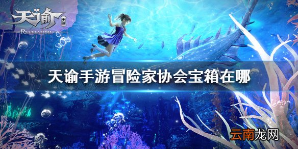 天谕手游冒险家协会宝箱在哪 天谕手游冒险家协会宝箱坐标点介绍