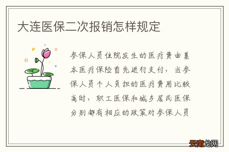 大连医保二次报销怎样规定