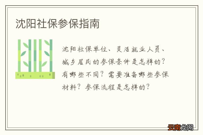 沈阳社保参保指南