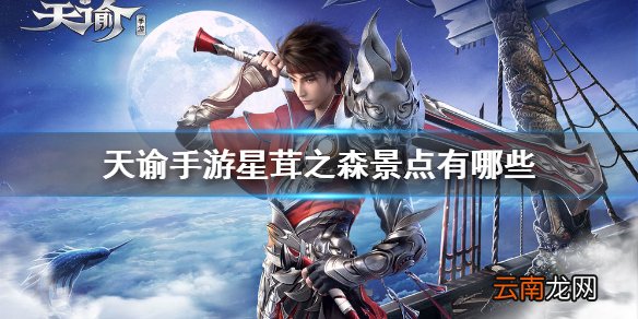 天谕手游星茸之森景点有哪些 天谕手游星茸之森景点拍照坐标大全