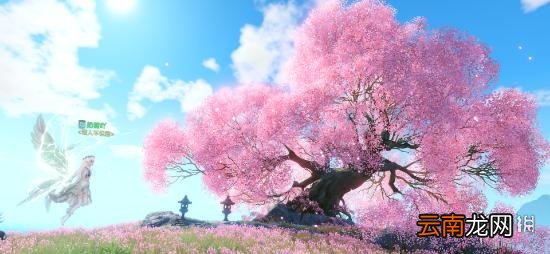 天谕手游苏澜郡景点有哪些 天谕手游苏澜郡景点拍照坐标大全