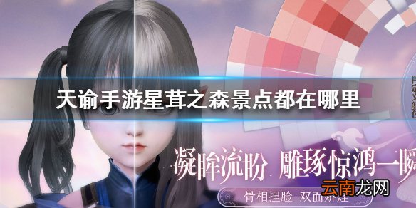 天谕手游星茸之森景点都在哪里 天谕手游星茸之森景点位置介绍