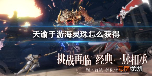 天谕手游海灵珠怎么获得 天谕手游海灵珠获得方法