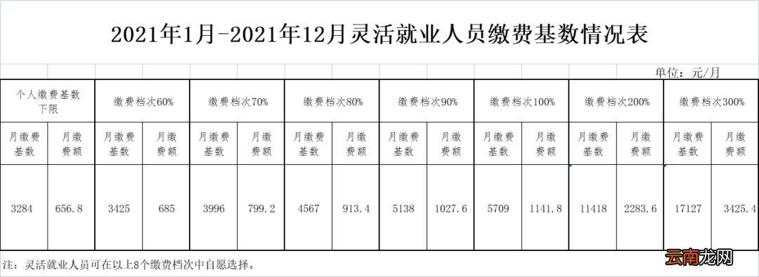 沈阳社保缴费指南