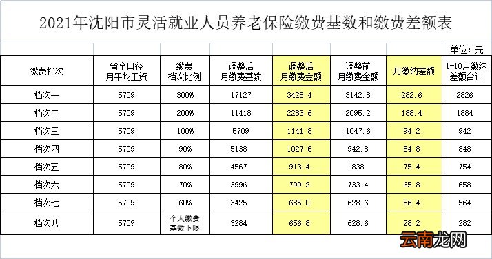 沈阳社保缴费指南