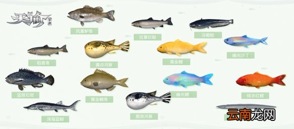 天谕手游钓鱼玩法介绍 天谕手游怎么钓鱼
