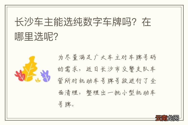 长沙车主能选纯数字车牌吗？在哪里选呢？