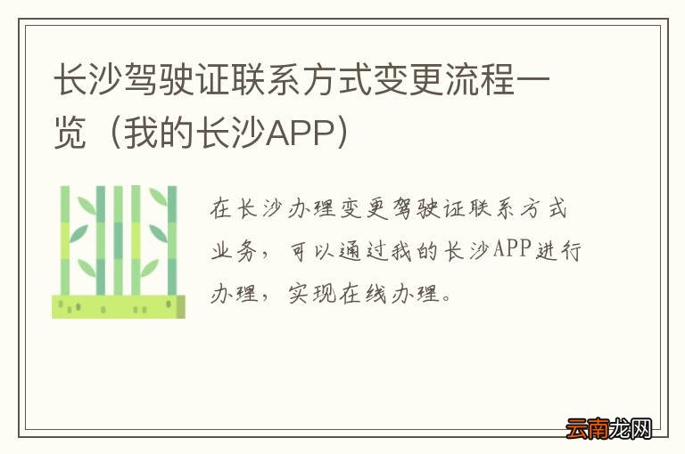 我的长沙APP 长沙驾驶证联系方式变更流程一览