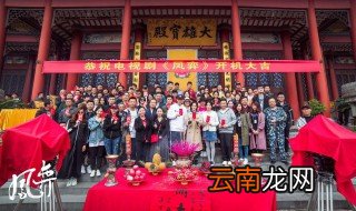 凤弈哪个台播出 电视剧剧情介绍
