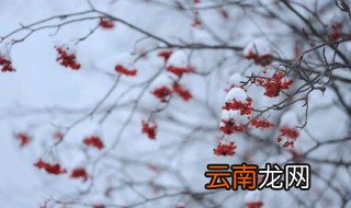 立冬是几月几号 星期几