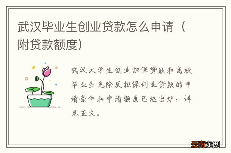 附贷款额度 武汉毕业生创业贷款怎么申请