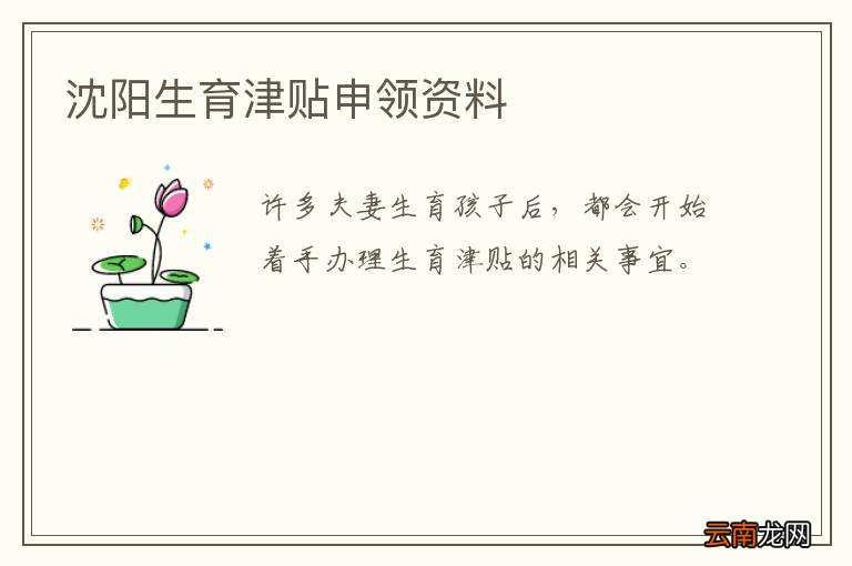 沈阳生育津贴申领资料