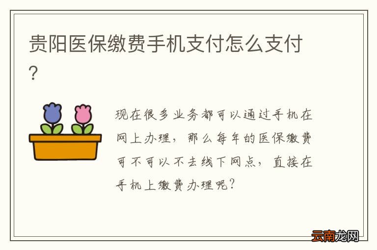 贵阳医保缴费手机支付怎么支付？