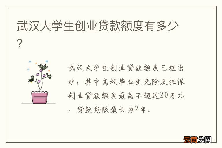 武汉大学生创业贷款额度有多少？