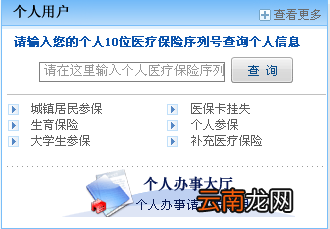 沈阳异地就医备案网上申请流程及入口