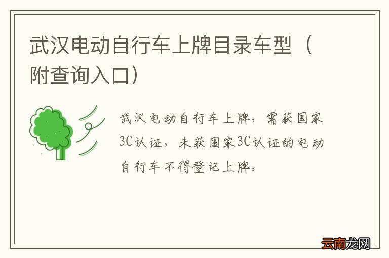 附查询入口 武汉电动自行车上牌目录车型