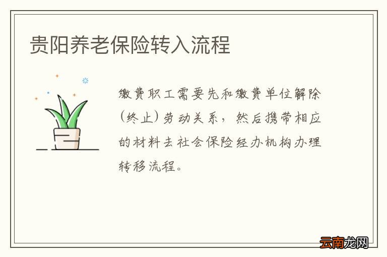 贵阳养老保险转入流程
