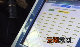 怎么选车牌号 来了解一下