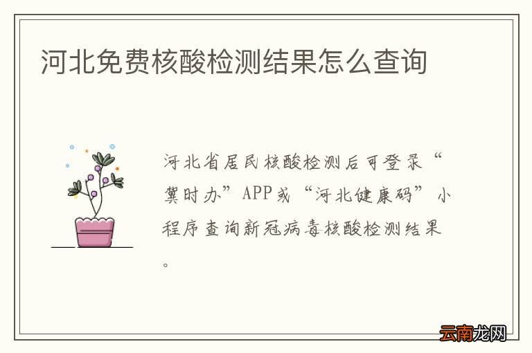 河北免费核酸检测结果怎么查询